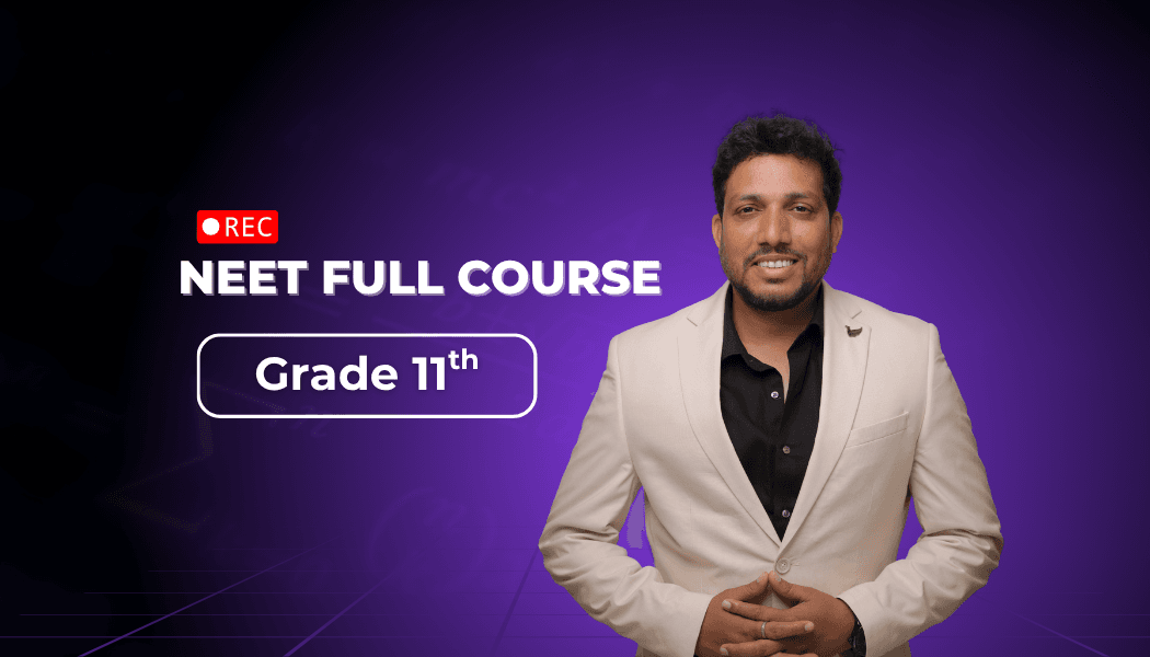 11th Standard